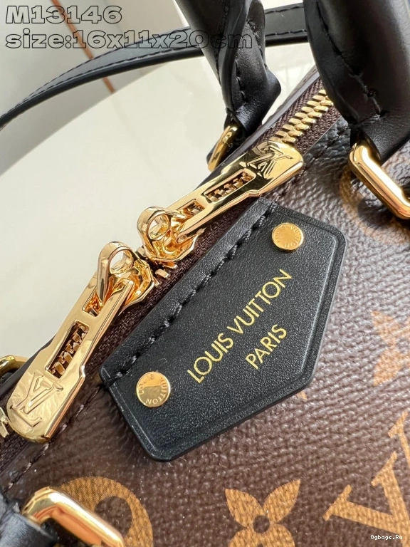 Speedy Vuitton 20 Louis Trunk 0124